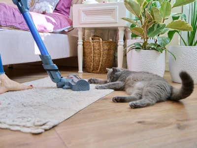 aspirar pelos de gato