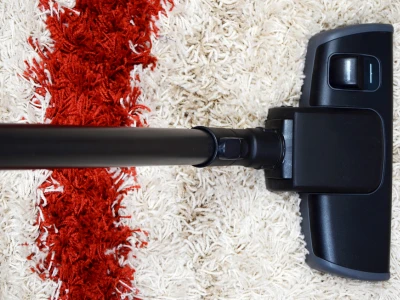 consejos para aspirar alfombras de pelo largo