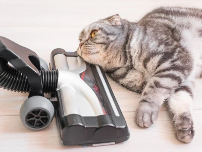 comparativa-de-aspiradores-de-mano-sin-cable-para-mascotas